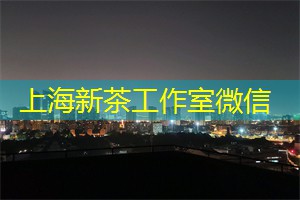 上海的国际文化交流活动