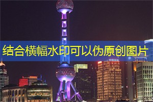 简约时尚：探索上海茶庄的现代风格