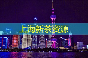 【约会特攻队】尽享上海同城交友，解锁浪漫新奇小众约会！